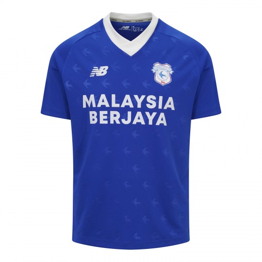 Cardiff City cardiff-city